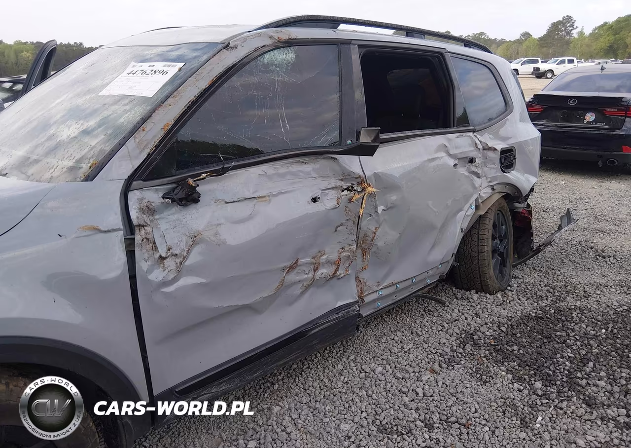 2024 Kia Telluride Sx X-Pro VIN:5XYP5DGCXRG460846 - 6