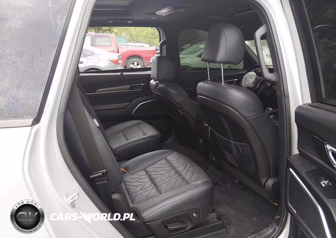 2024 Kia Telluride Sx X-Pro VIN:5XYP5DGCXRG460846 - 8