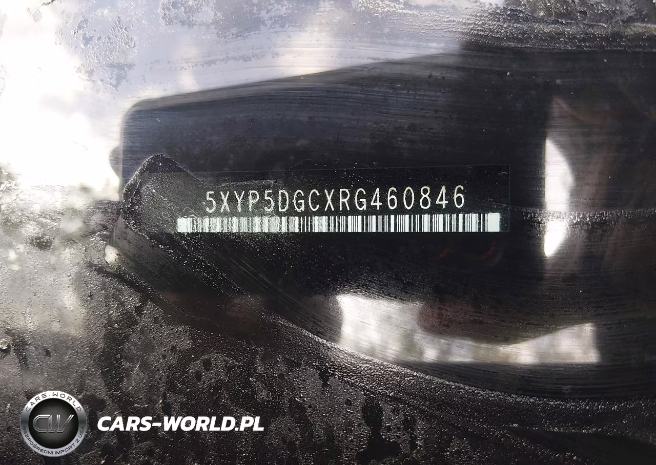 2024 Kia Telluride Sx X-Pro VIN:5XYP5DGCXRG460846 - 9