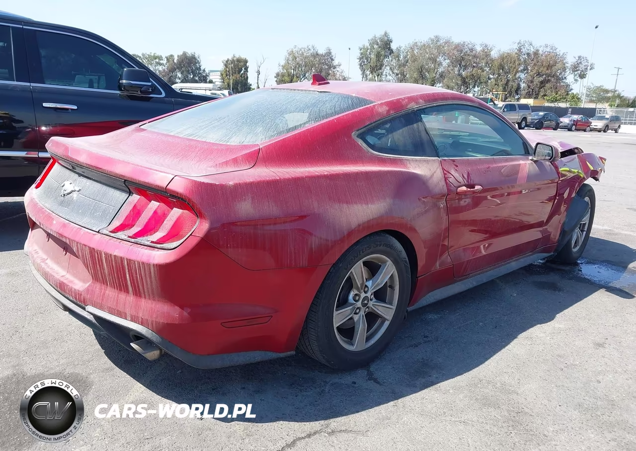2021 Ford Mustang Ecoboost Fastback VIN:1FA6P8TH0M5155099 - 4
