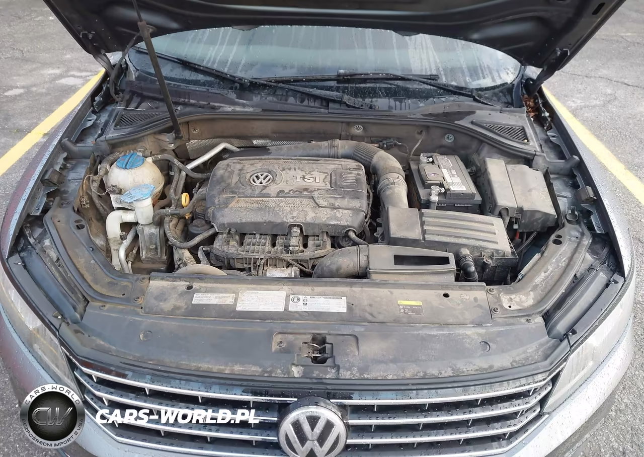 2017 Volkswagen Passat 1.8T S VIN:1VWAT7A39HC011261 - 10