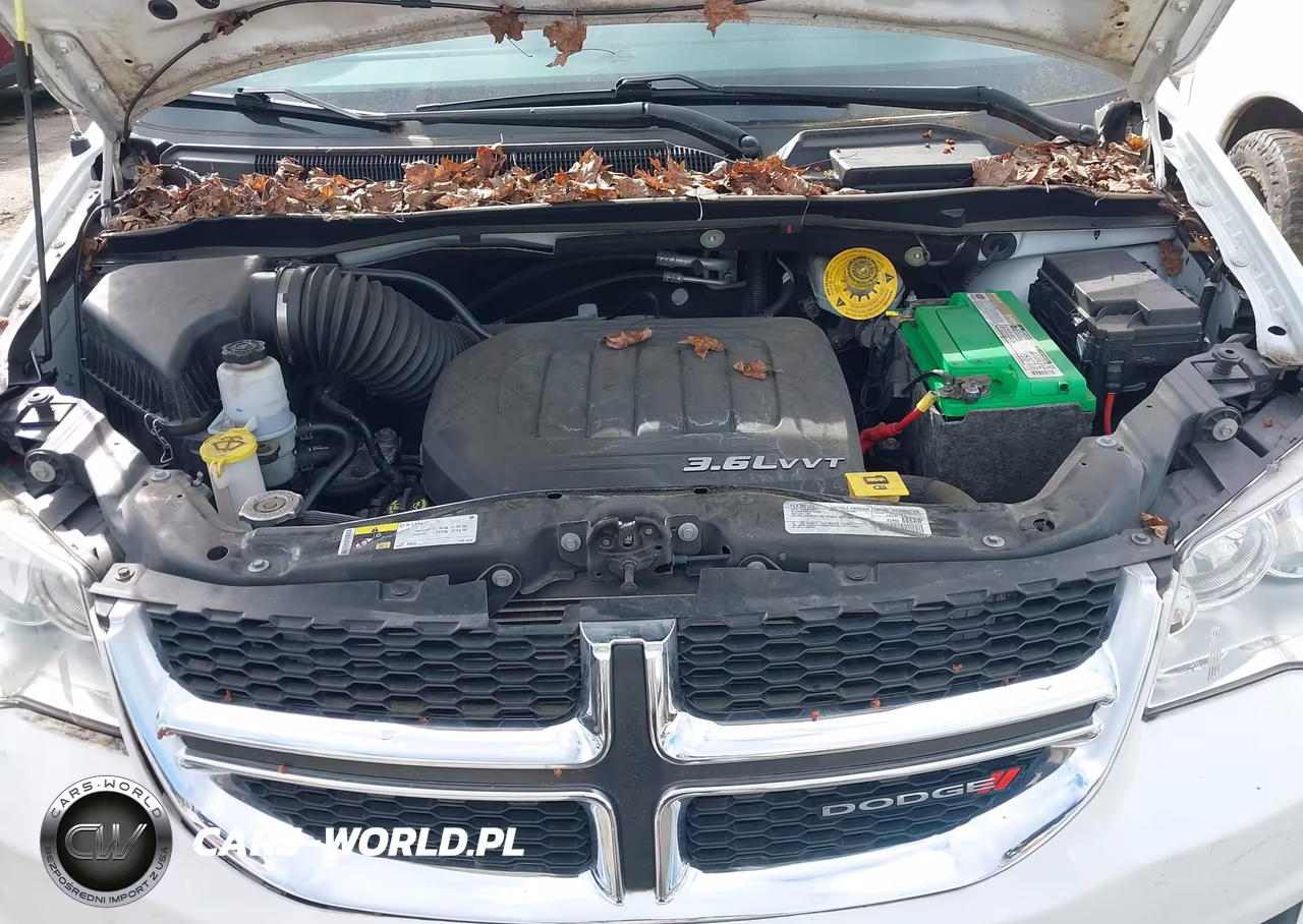2017 Dodge Grand Caravan Se VIN:2C7WDGBG4HR784088 - 10