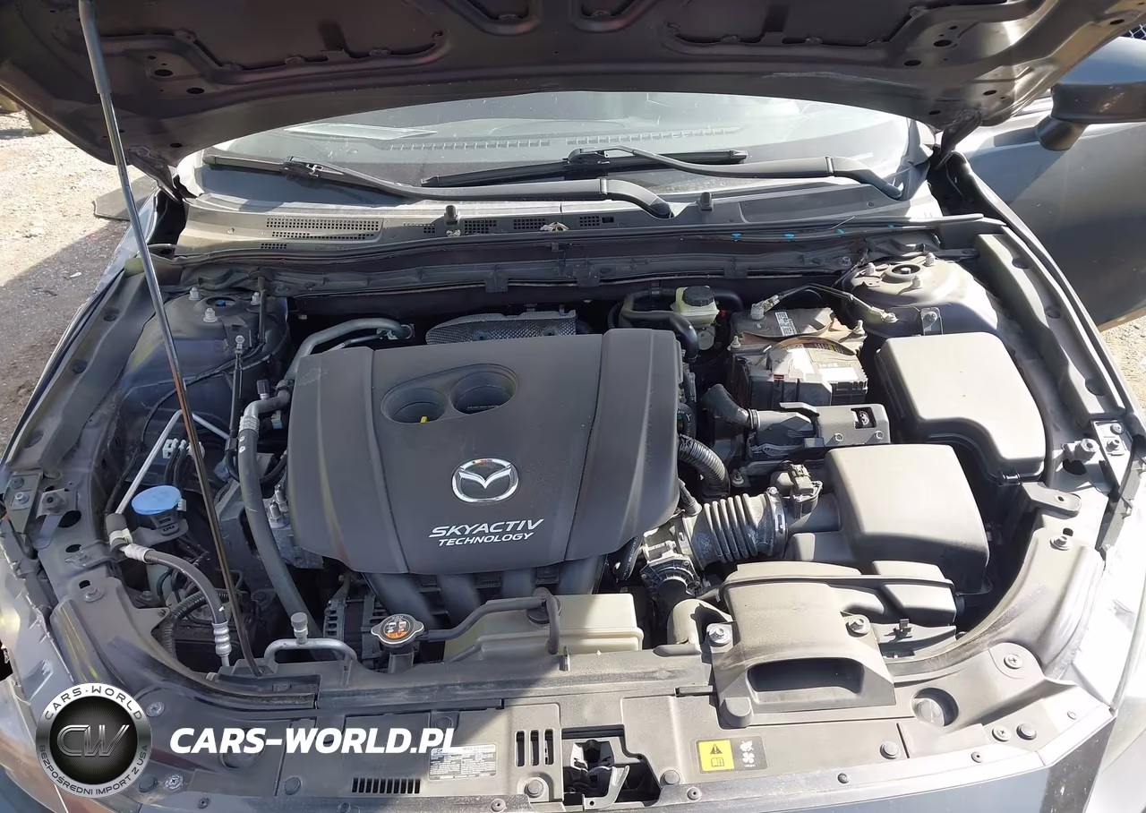 2016 Mazda Mazda3 I Sport VIN:3MZBM1U78GM323646 - 10