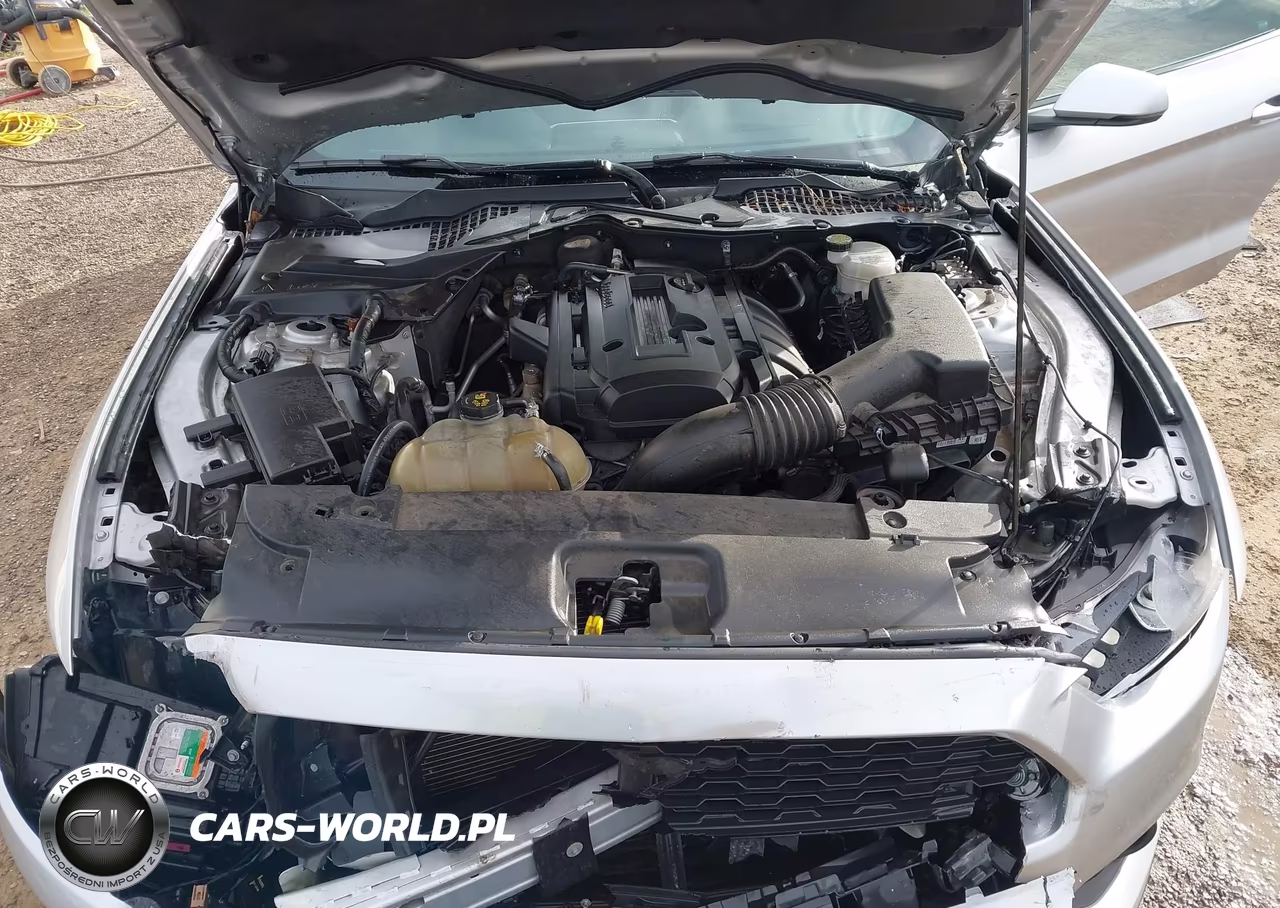 2015 Ford Mustang Ecoboost VIN:1FA6P8TH0F5371523 - 10