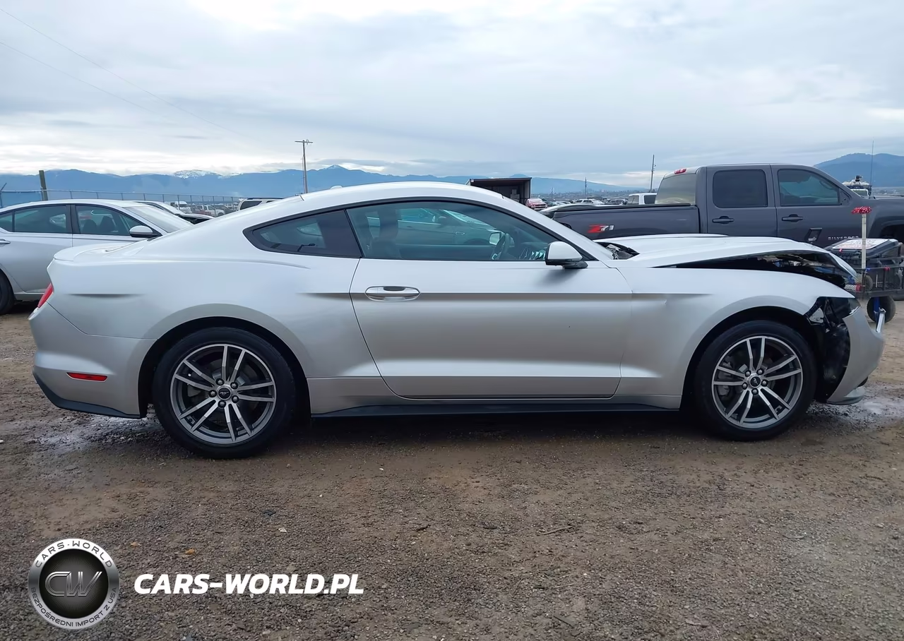 2015 Ford Mustang Ecoboost VIN:1FA6P8TH0F5371523 - 13