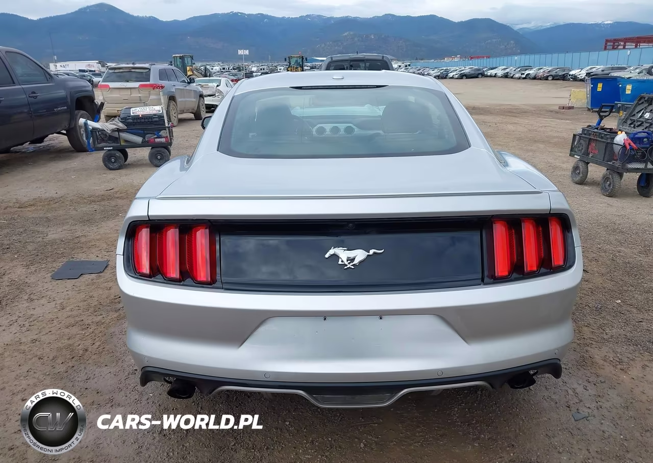 2015 Ford Mustang Ecoboost VIN:1FA6P8TH0F5371523 - 16