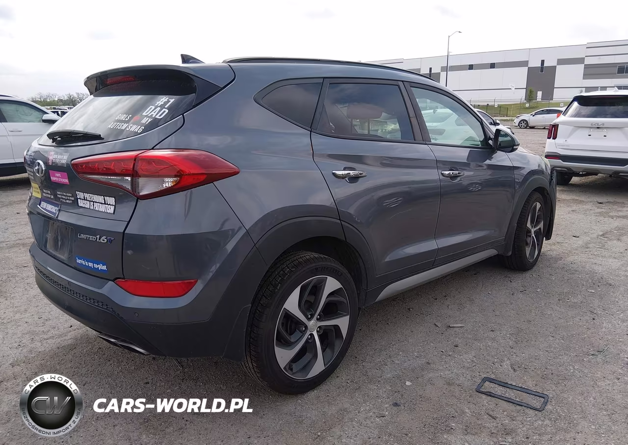 2017 Hyundai Tucson Limited VIN:KM8J33A21HU292268 - 4