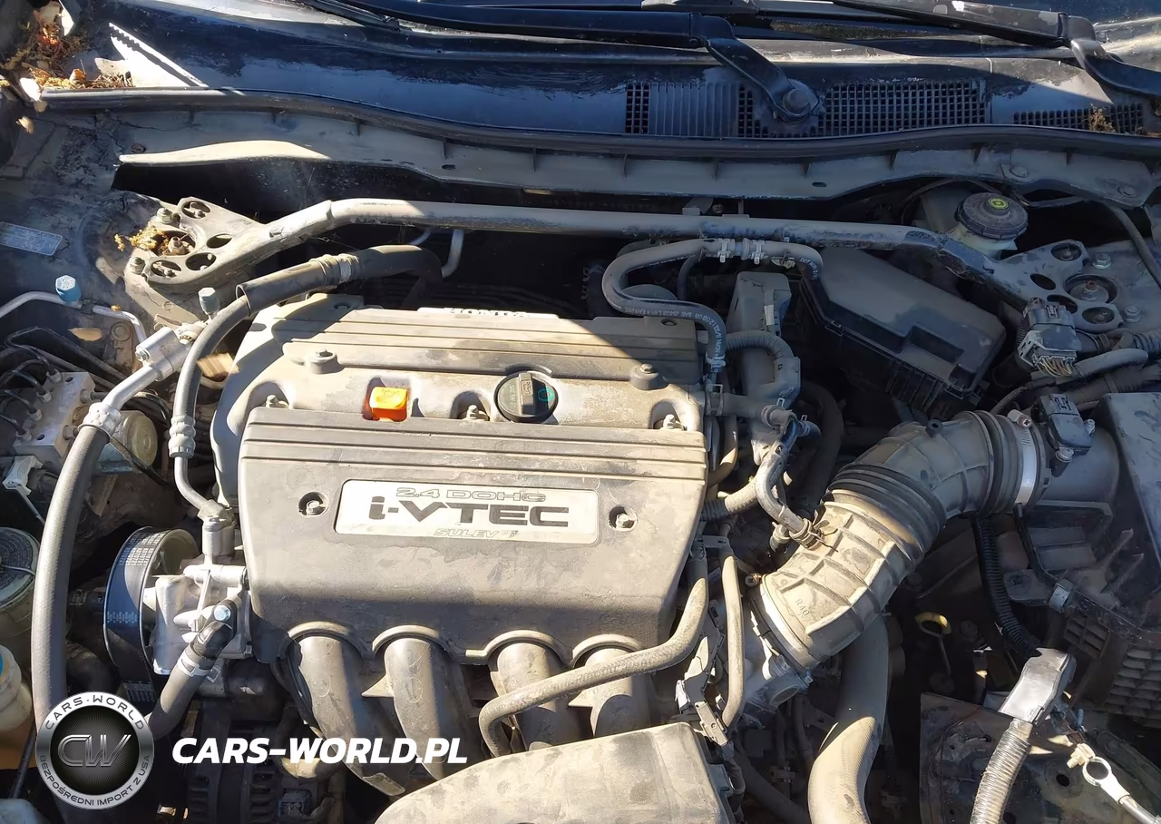 2009 Honda Accord 2.4 Ex-L VIN:1HGCP26879A161973 - 10