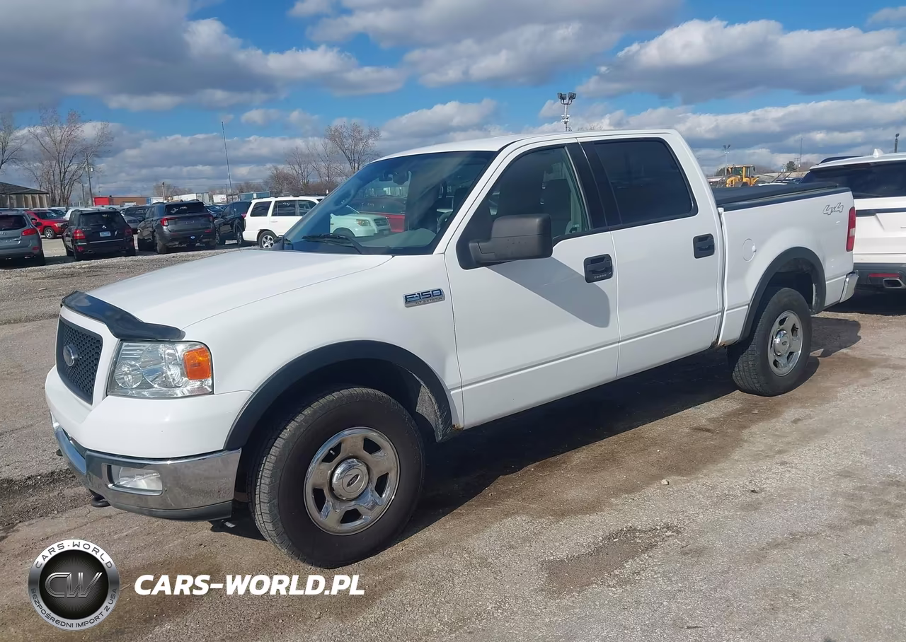 2004 Ford F-150 Fx4-Lariat-Xlt VIN:1FTPW14544KD88787 - 2