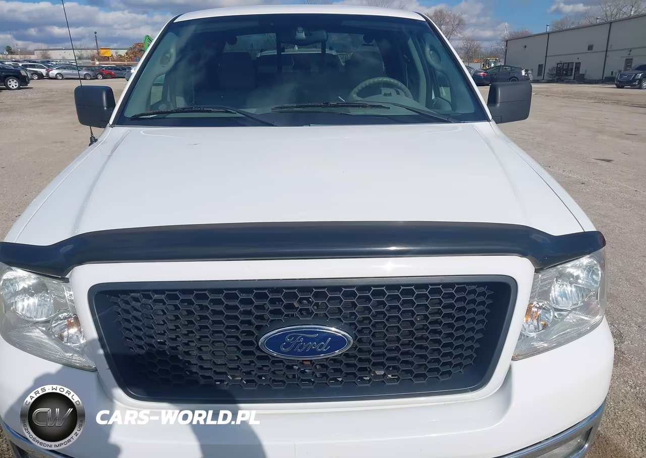 2004 Ford F-150 Fx4-Lariat-Xlt VIN:1FTPW14544KD88787 - 6