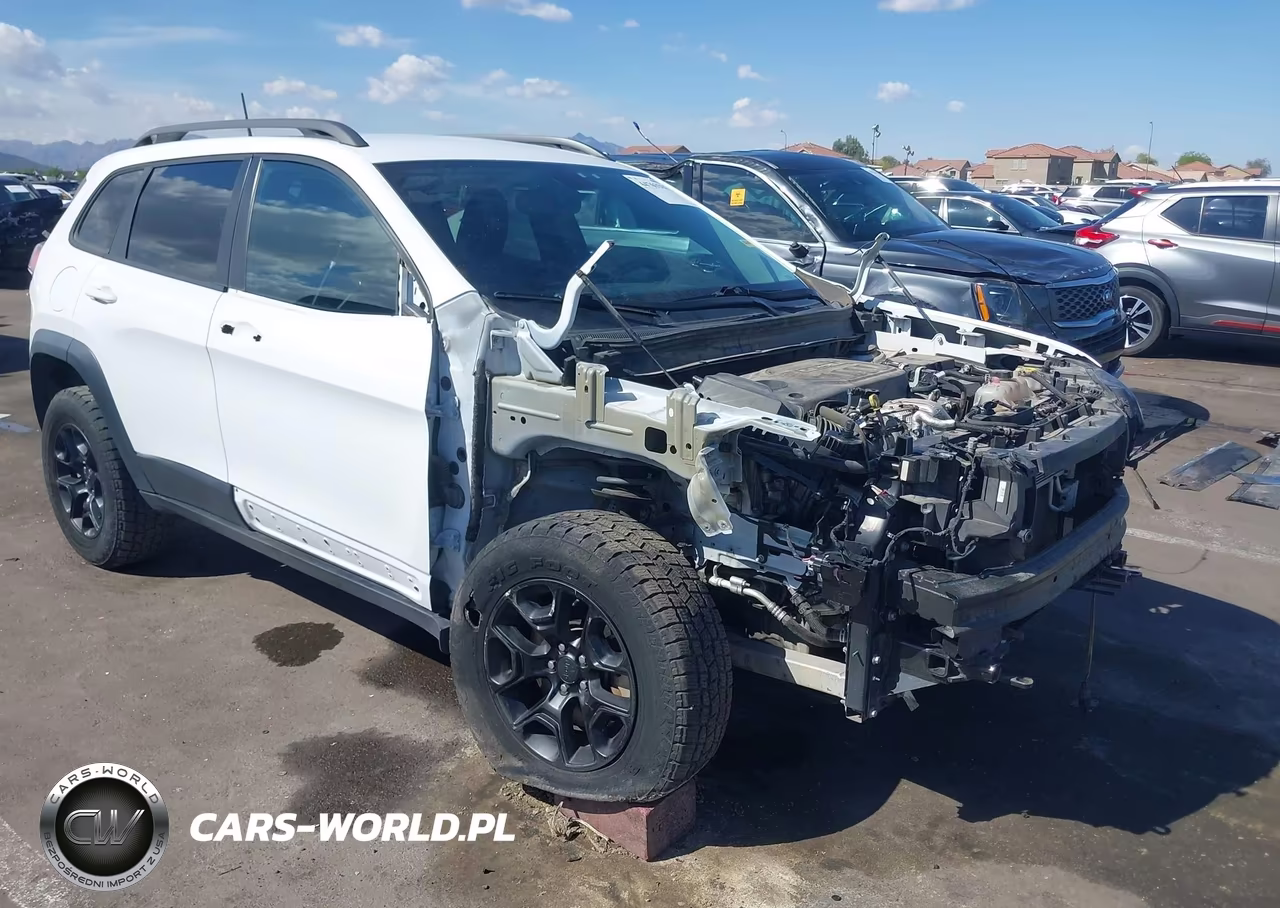 2019 Jeep Cherokee Trailhawk 4X4