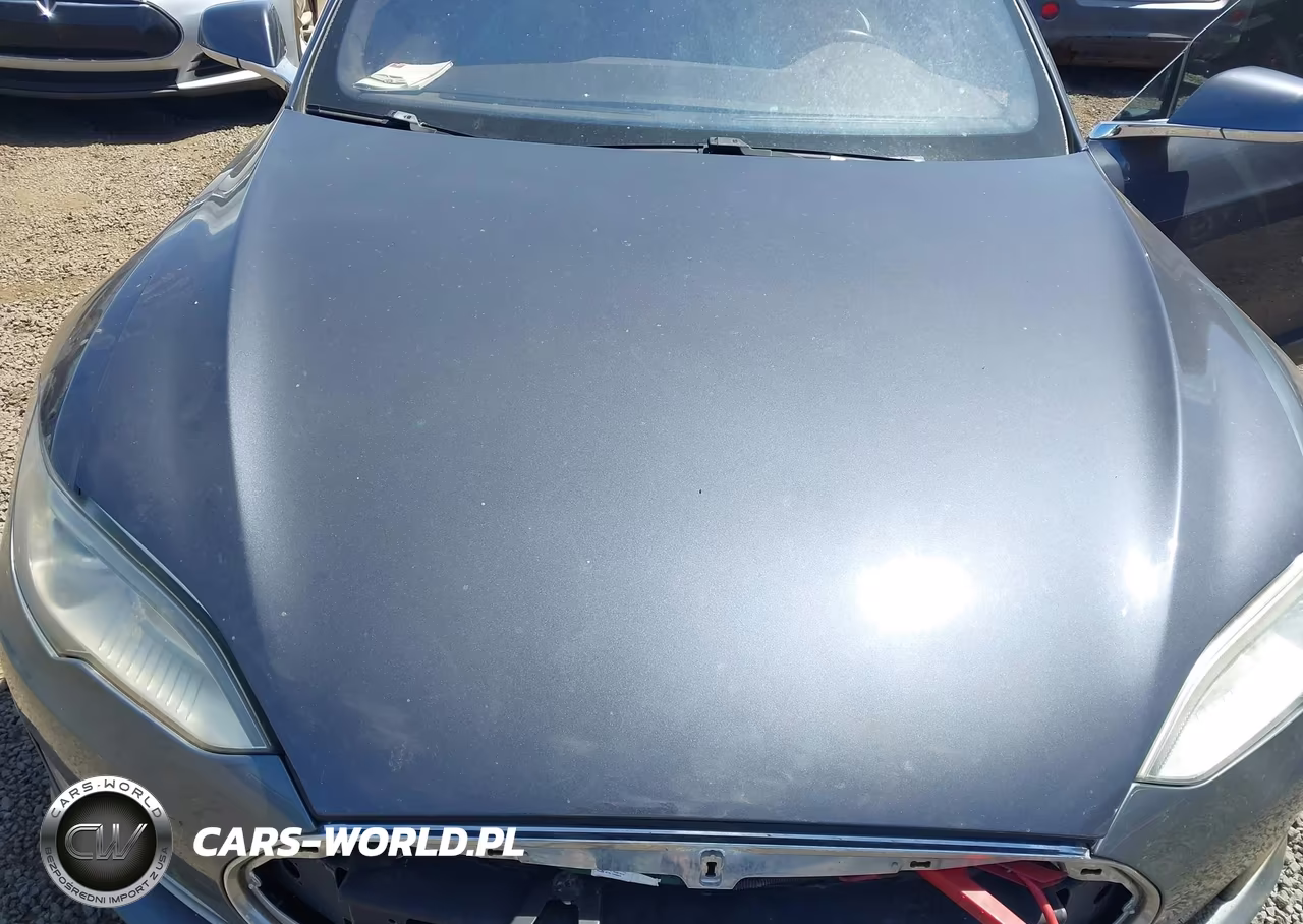 2015 Tesla Model S 85D-P85D VIN:5YJSA1H45FF083955 - 10