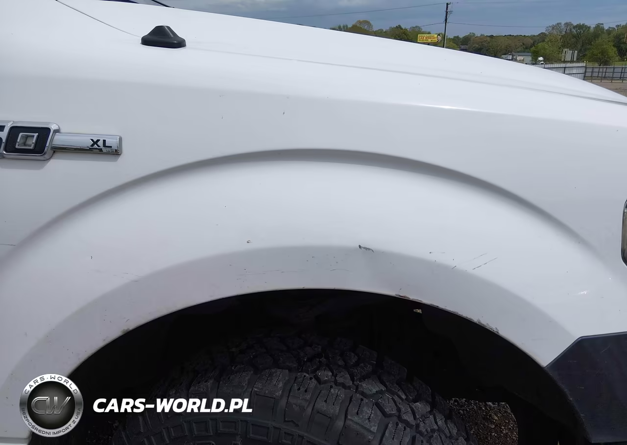 2014 Ford F-150 Xl VIN:1FTNF1CF8EKE04301 - 18