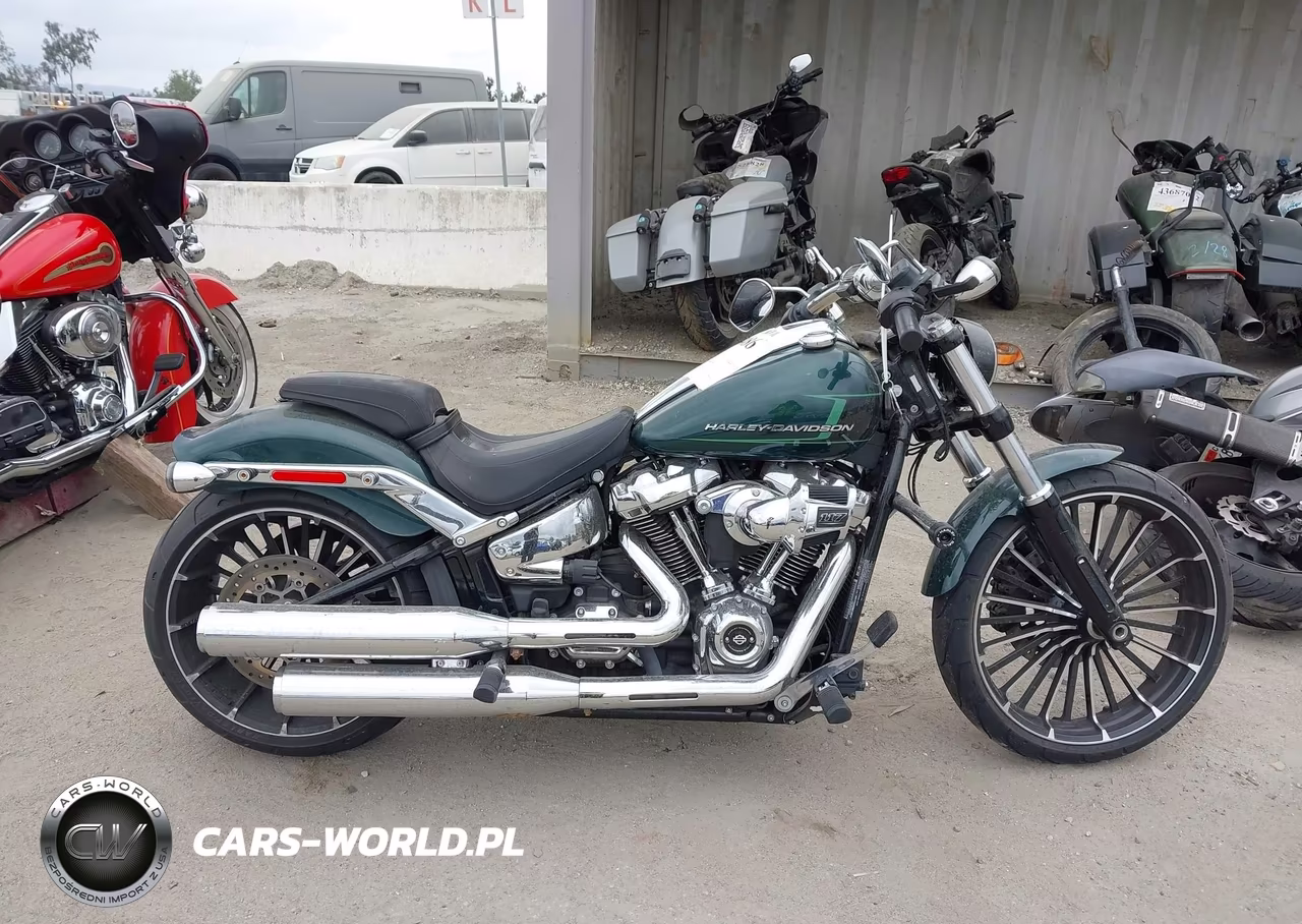2024 Harley-Davidson Fxbr VIN:1HD1YEZ22RB013816 - 12