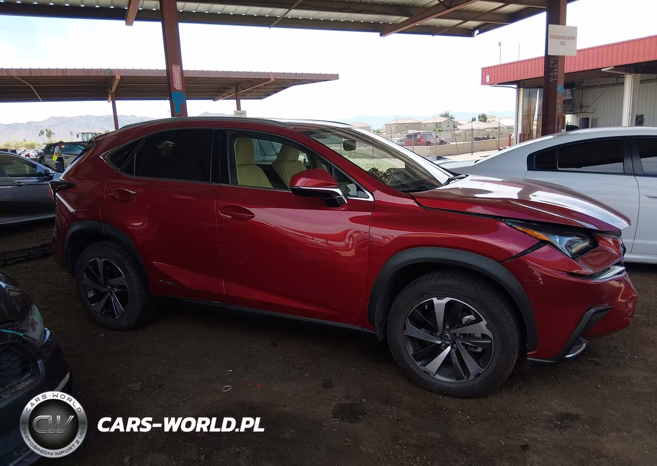2021 Lexus Nx 300H VIN:JTJGJRDZ2M2167640 - 13