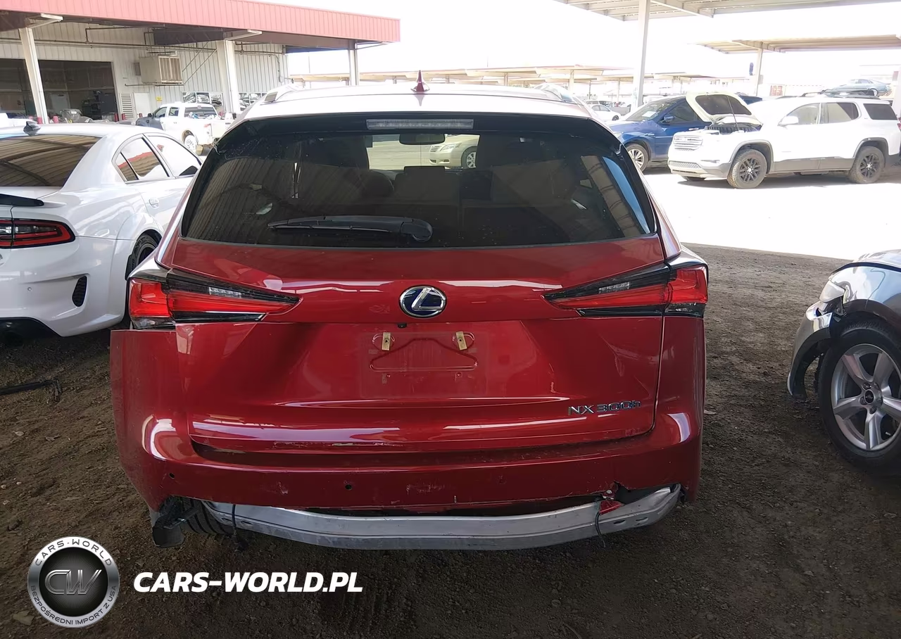 2021 Lexus Nx 300H VIN:JTJGJRDZ2M2167640 - 16