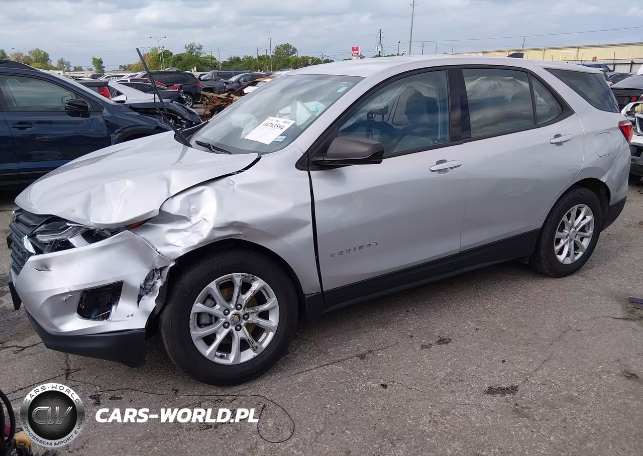 2019 Chevrolet Equinox Ls VIN:2GNAXSEV5K6260542 - 2