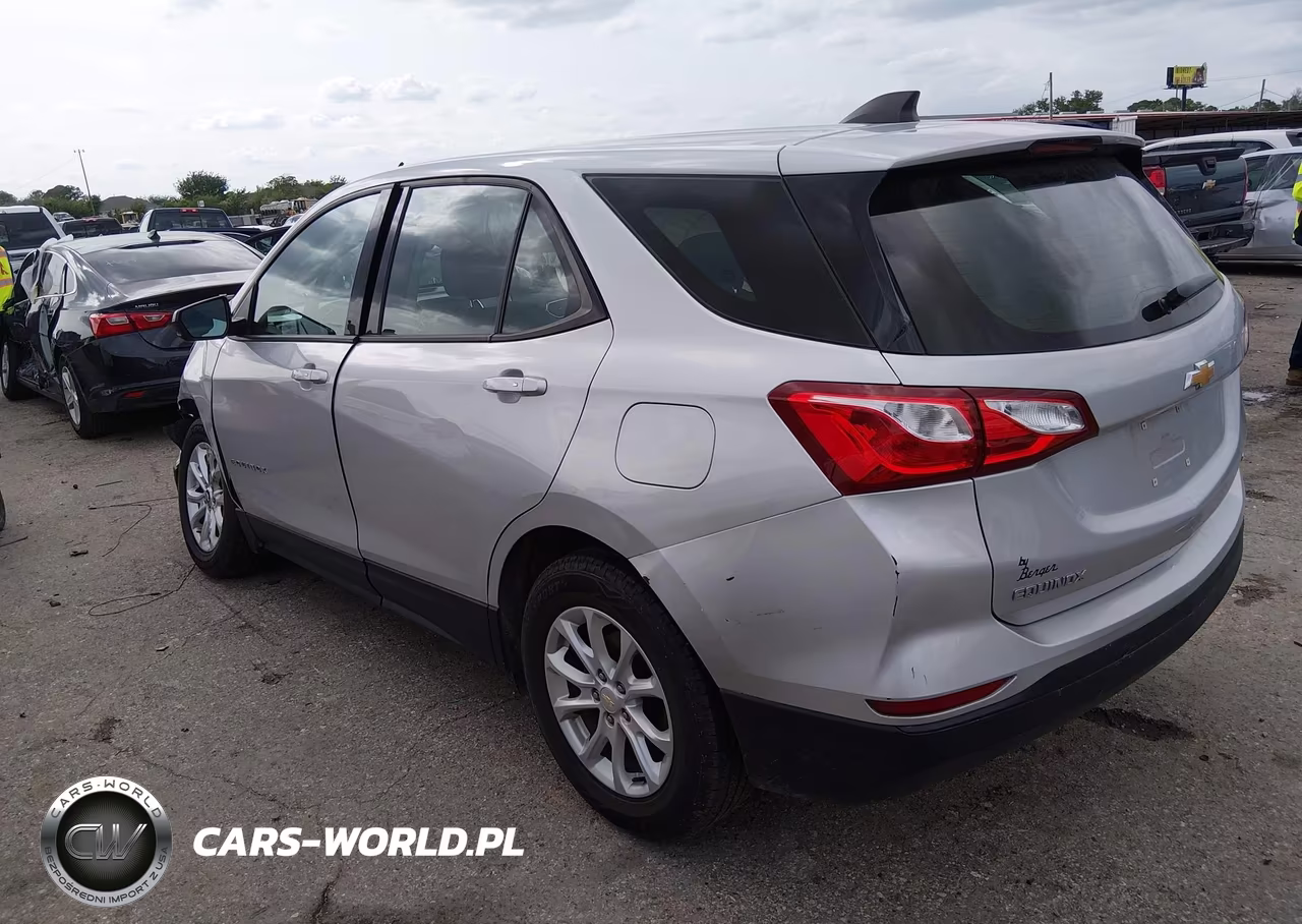 2019 Chevrolet Equinox Ls VIN:2GNAXSEV5K6260542 - 3