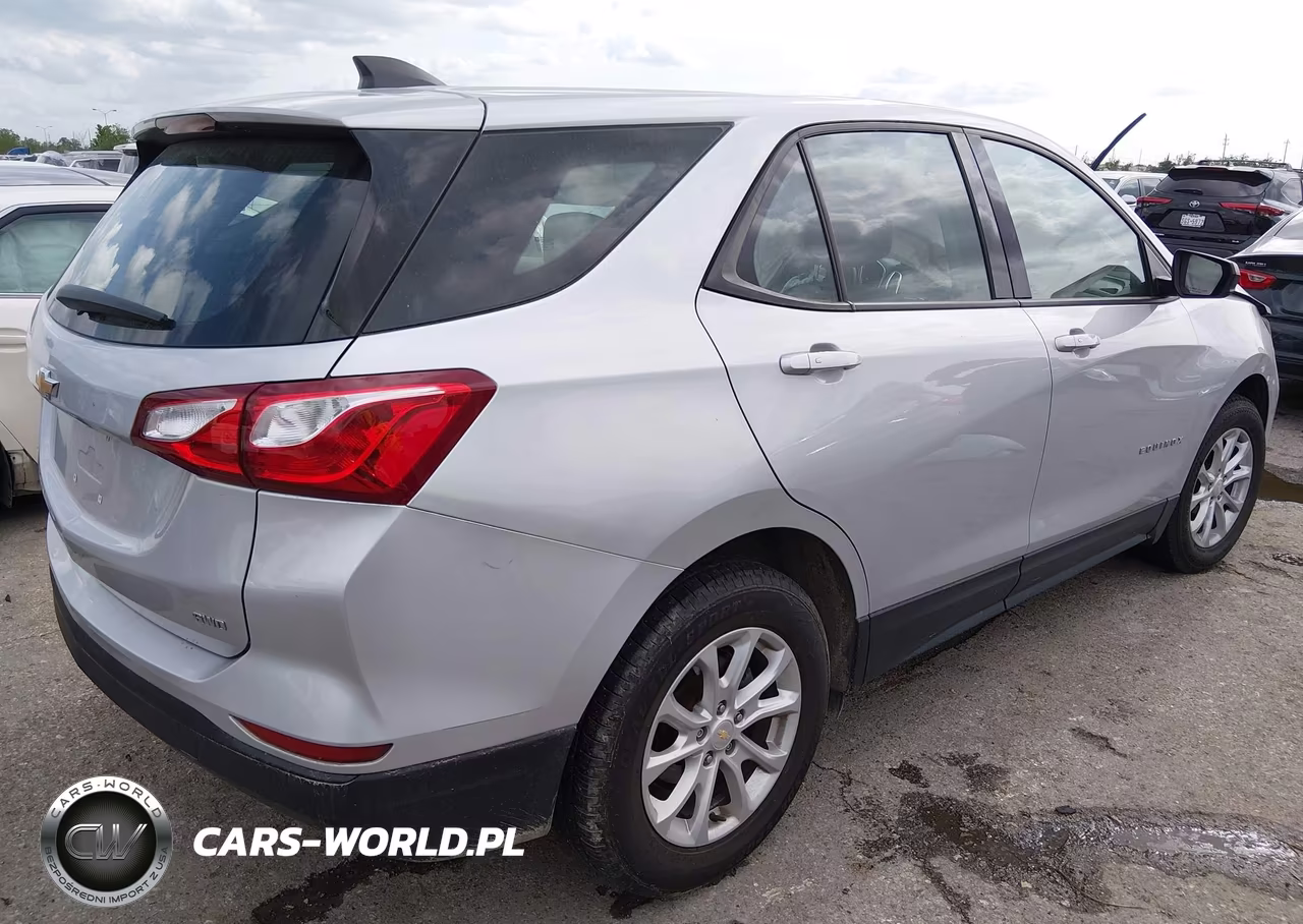 2019 Chevrolet Equinox Ls VIN:2GNAXSEV5K6260542 - 4