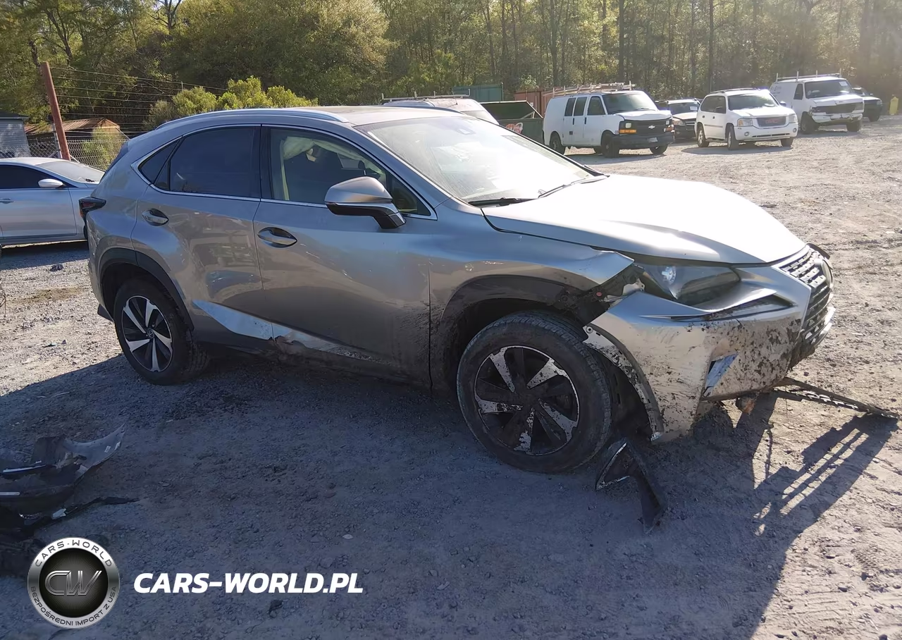 2021 Lexus Nx 300