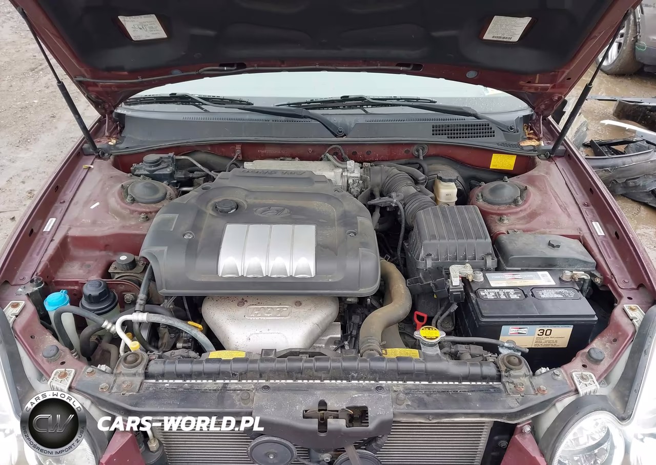 2002 Hyundai Sonata VIN:KMHWF25S32A667653 - 10