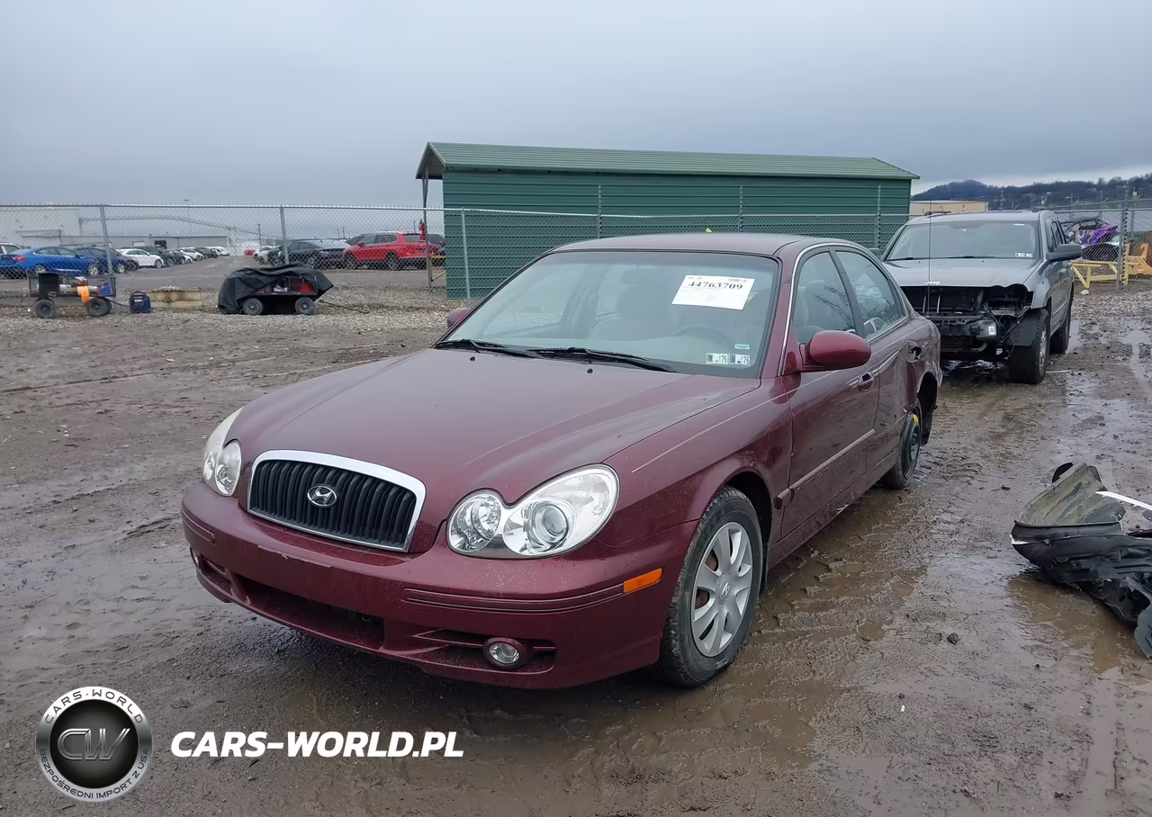 2002 Hyundai Sonata VIN:KMHWF25S32A667653 - 2