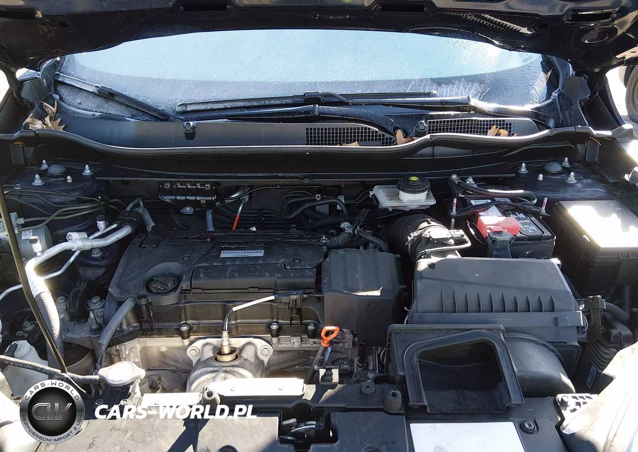 2019 Honda Cr-V Lx VIN:2HKRW6H34KH217791 - 10
