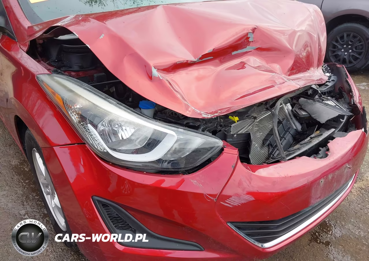 2015 Hyundai Elantra Se VIN:5NPDH4AE6FH585190 - 19