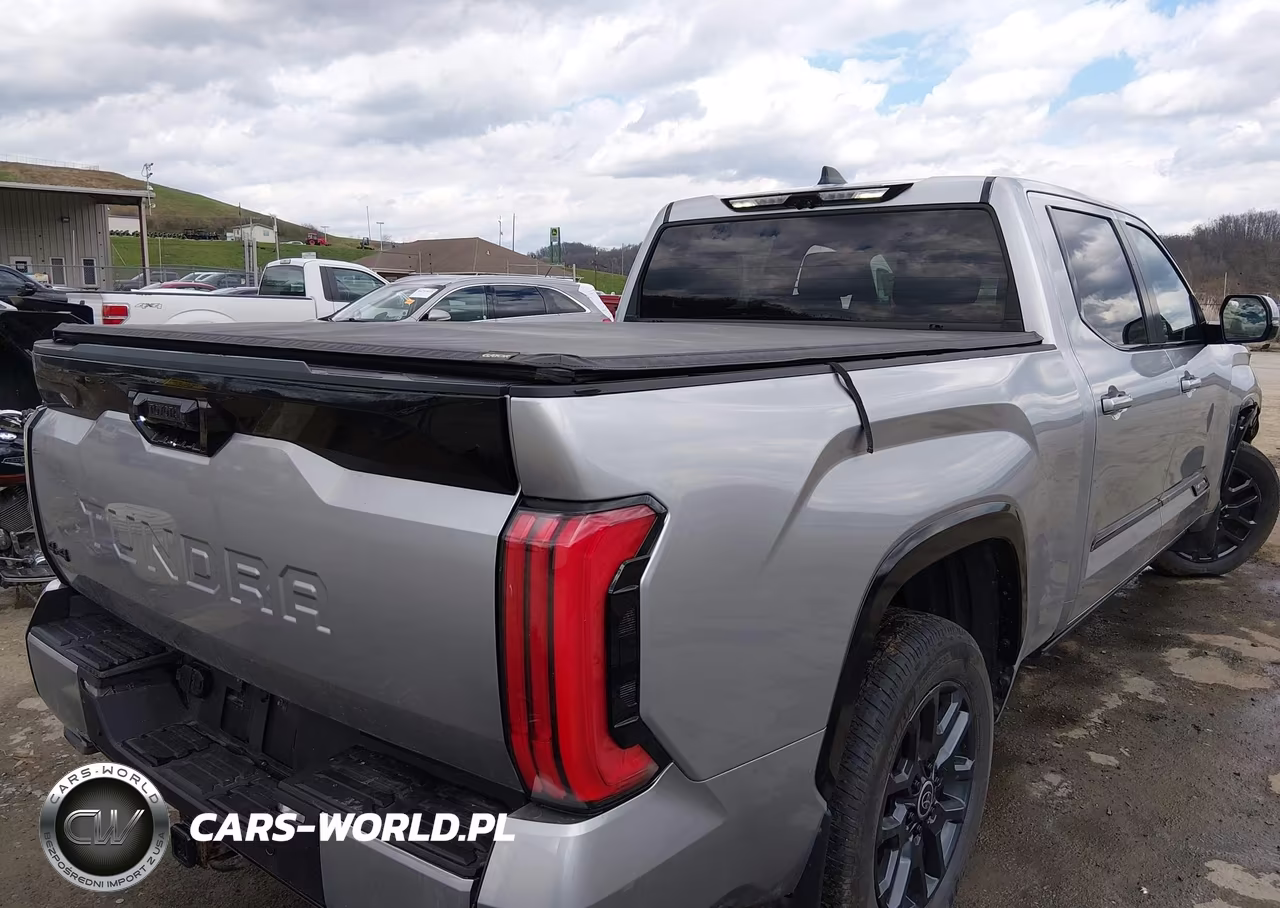 2024 Toyota Tundra Platinum VIN:5TFNA5EC9RX031433 - 4