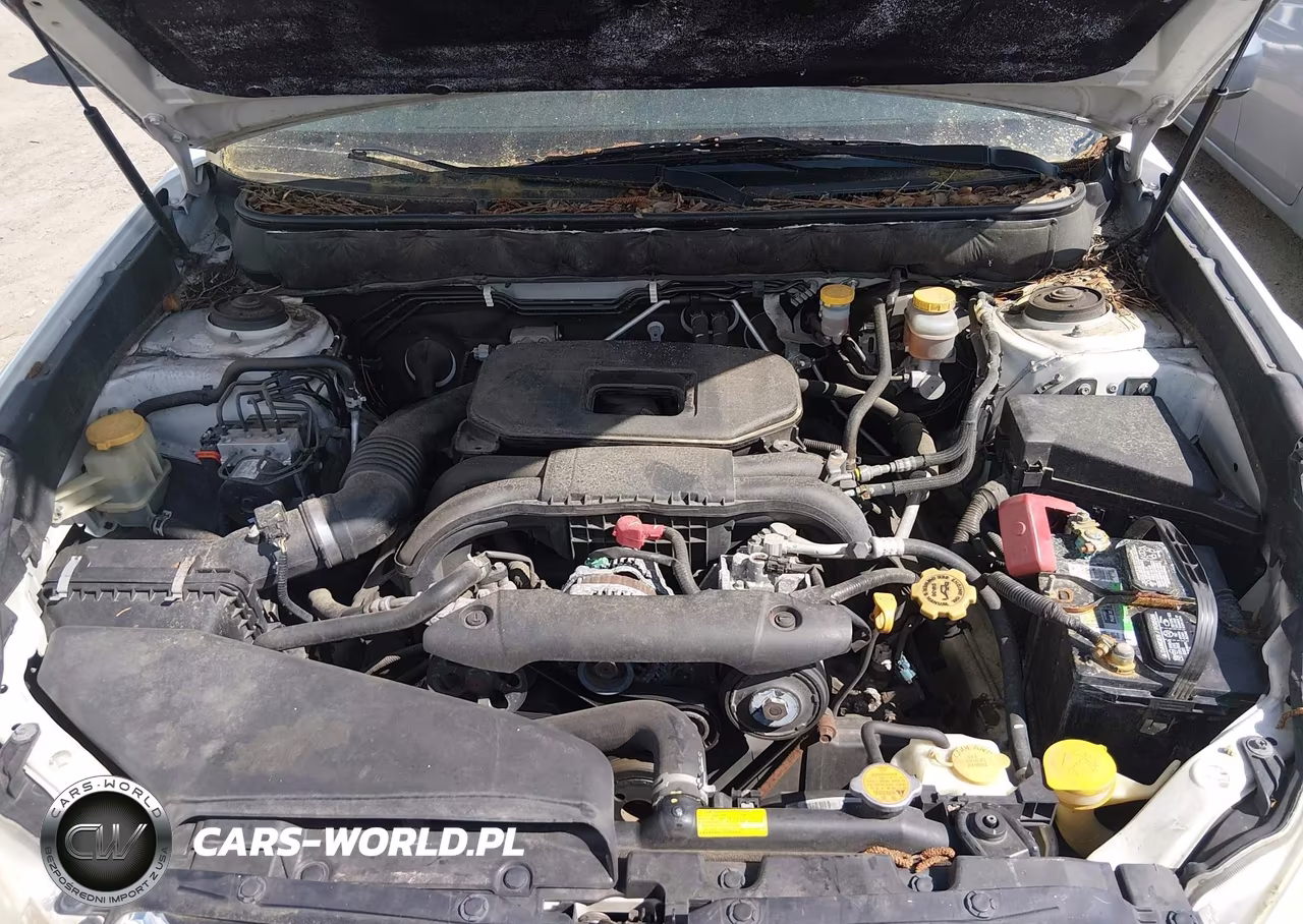 2010 Subaru Outback 2.5I Premium VIN:4S4BRCCC6A1340623 - 10