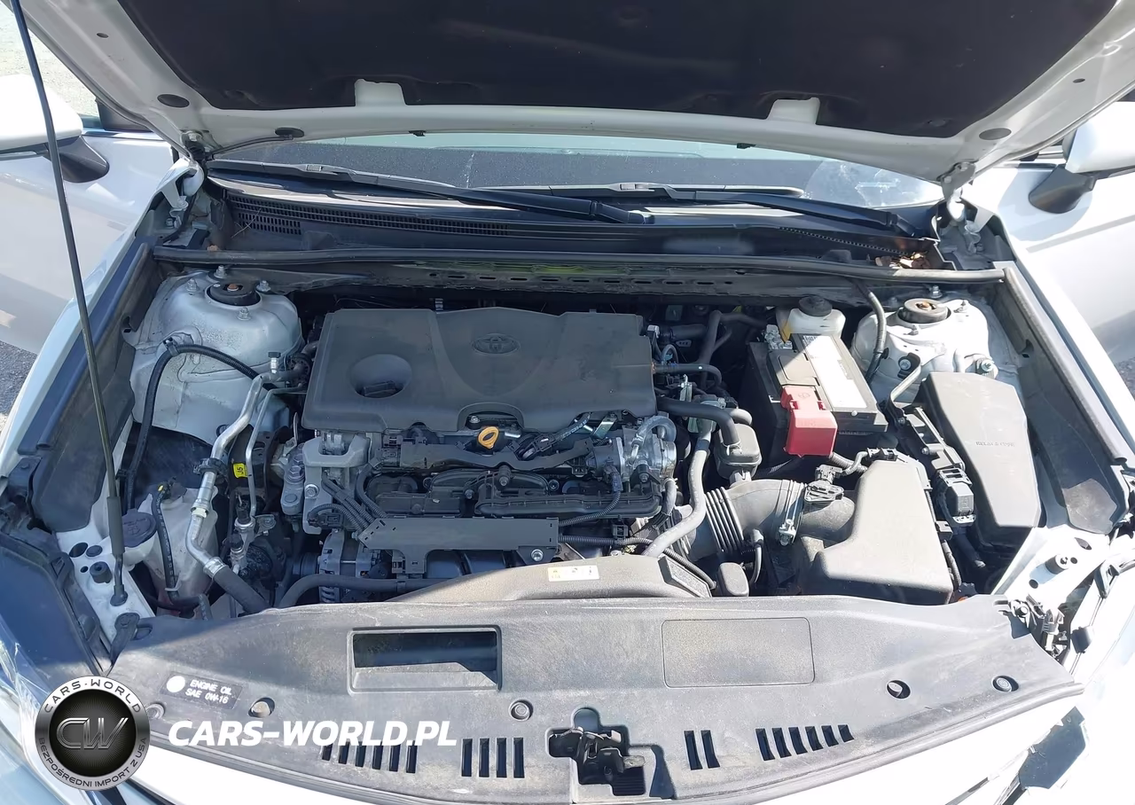 2023 Toyota Camry Le VIN:4T1R11AK4PU186392 - 10