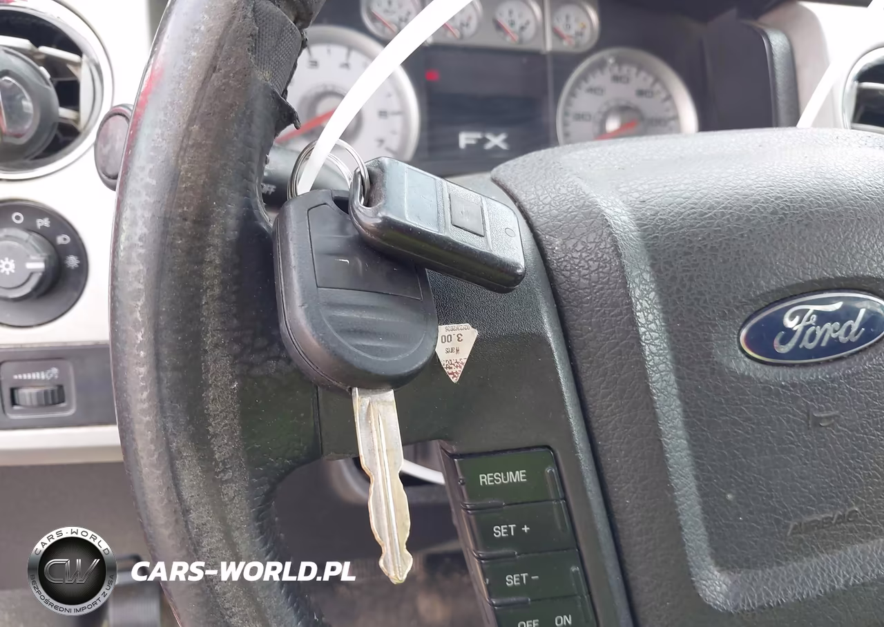 2010 Ford F-150 Fx4-Harley-Davidson-King Ranch-Lariat-Platinum-Xl-Xlt VIN:1FTFW1EV8AFB19061 - 11