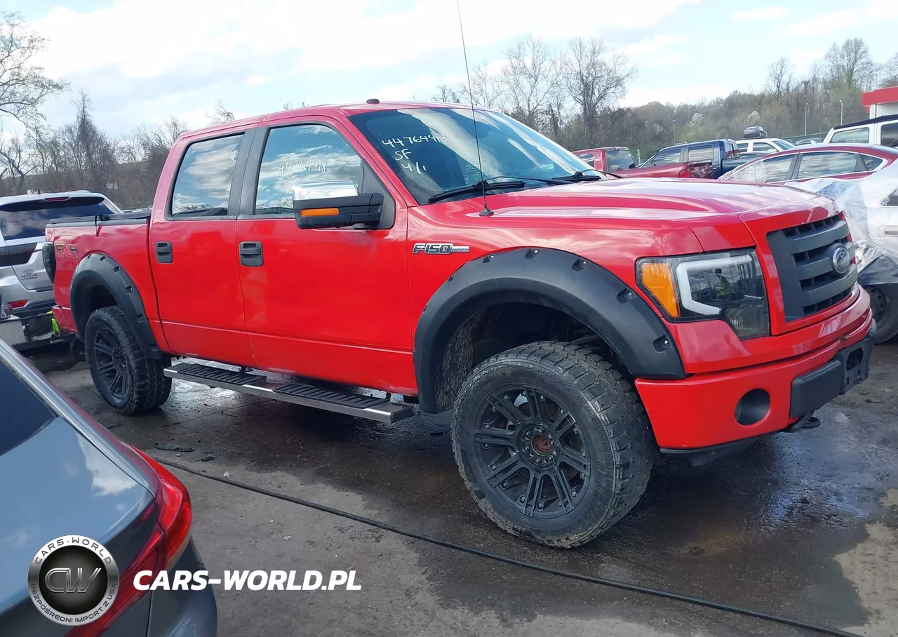 2010 Ford F-150 Fx4-Harley-Davidson-King Ranch-Lariat-Platinum-Xl-Xlt VIN:1FTFW1EV8AFB19061 - 13