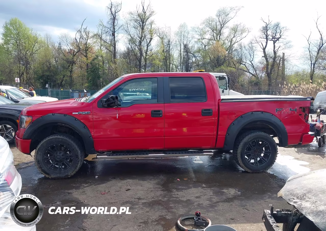 2010 Ford F-150 Fx4-Harley-Davidson-King Ranch-Lariat-Platinum-Xl-Xlt VIN:1FTFW1EV8AFB19061 - 14
