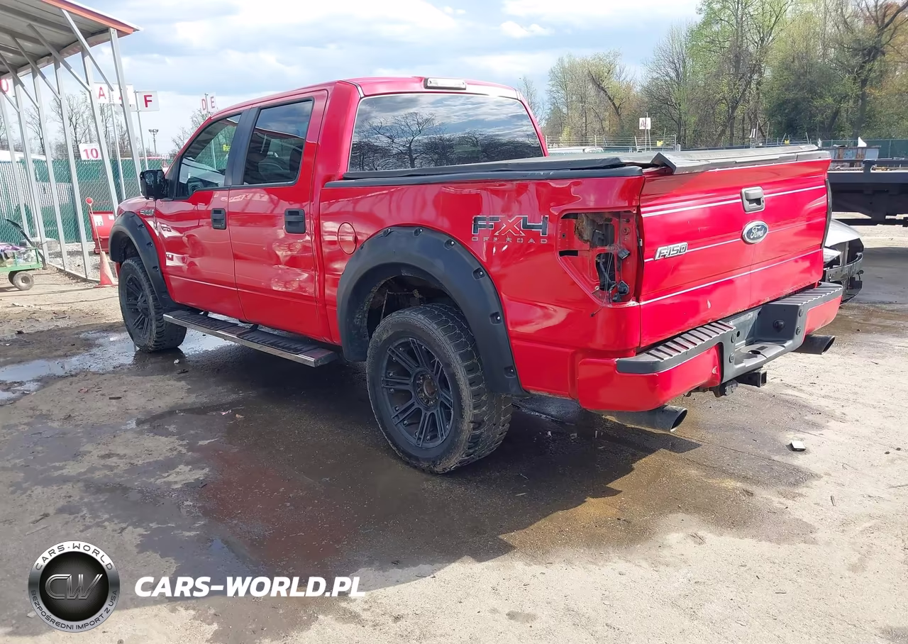 2010 Ford F-150 Fx4-Harley-Davidson-King Ranch-Lariat-Platinum-Xl-Xlt VIN:1FTFW1EV8AFB19061 - 3