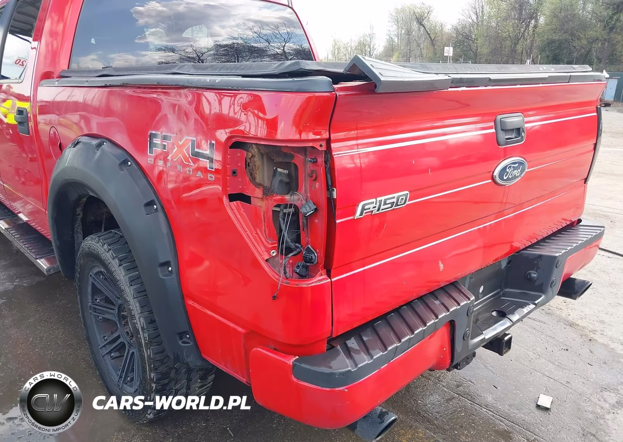 2010 Ford F-150 Fx4-Harley-Davidson-King Ranch-Lariat-Platinum-Xl-Xlt VIN:1FTFW1EV8AFB19061 - 6