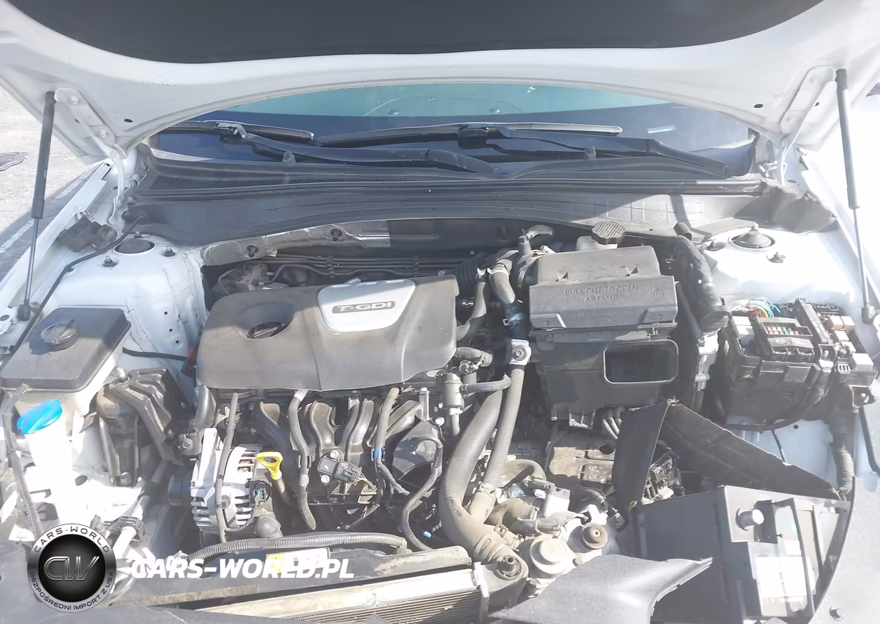 2019 Kia Optima Ex VIN:5XXGU4L12KG337236 - 10