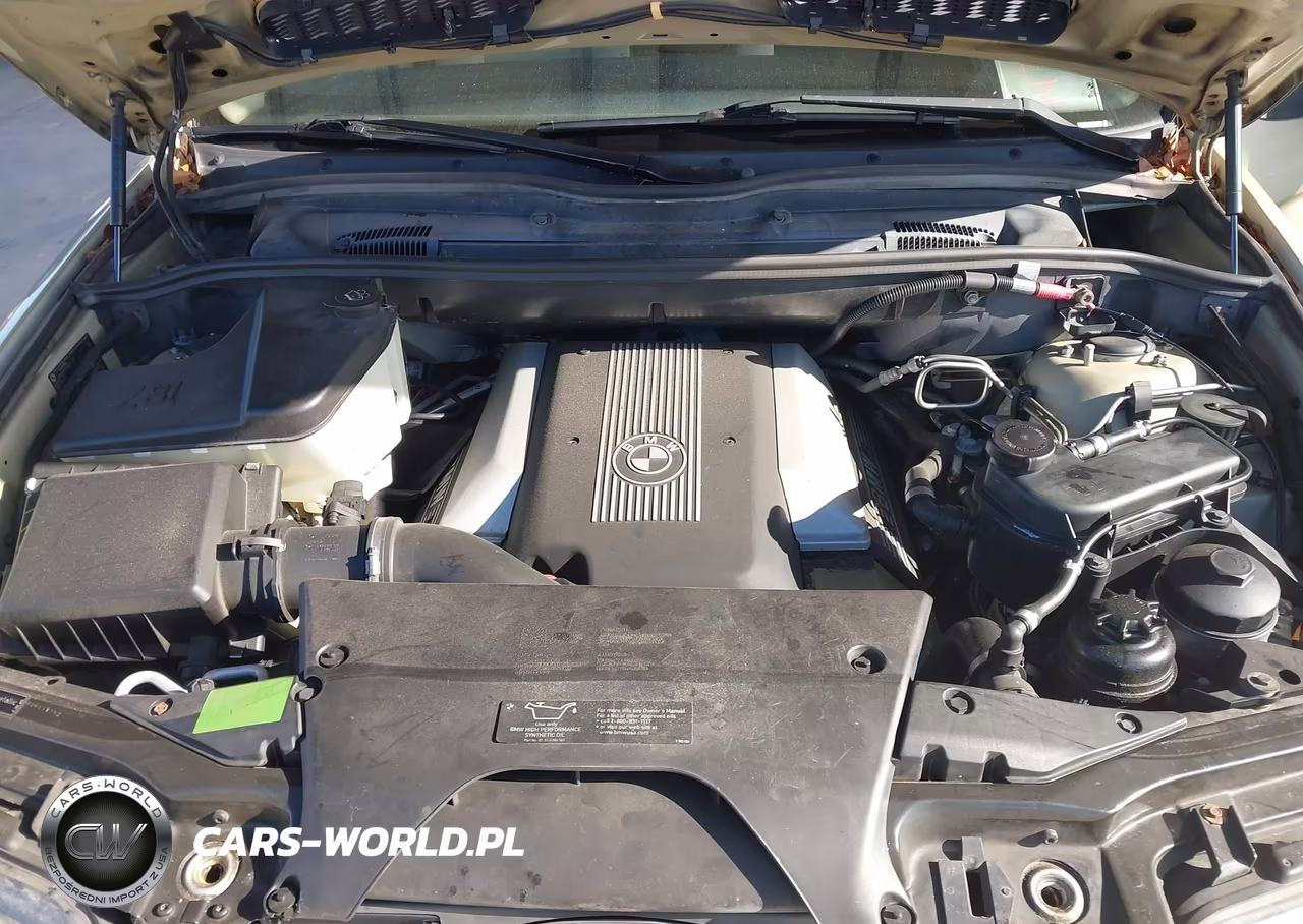 2001 BMW X5 4.4 VIN:WBAFB33531LH08661 - 10