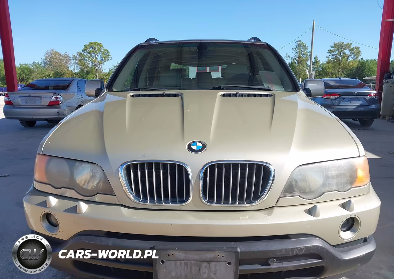 2001 BMW X5 4.4 VIN:WBAFB33531LH08661 - 6