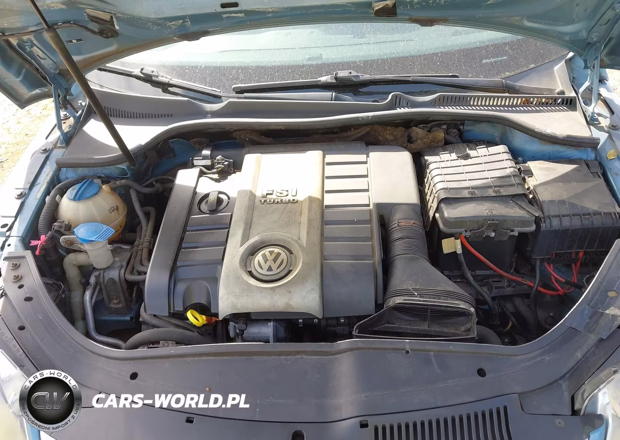 2007 Volkswagen Eos 2.0T VIN:WVWAA71F77V043468 - 10