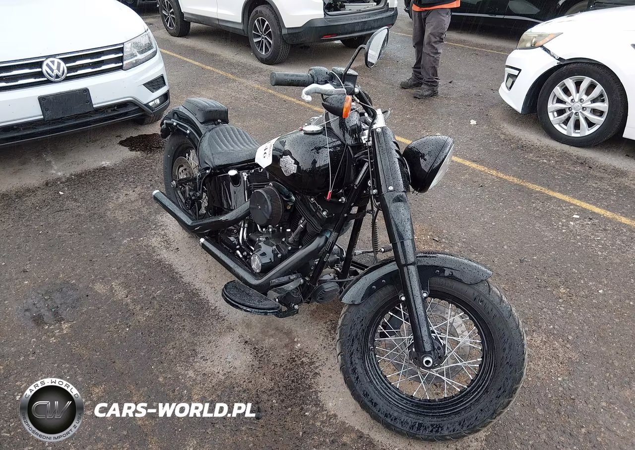 2017 Harley-Davidson Fls Softail Slim