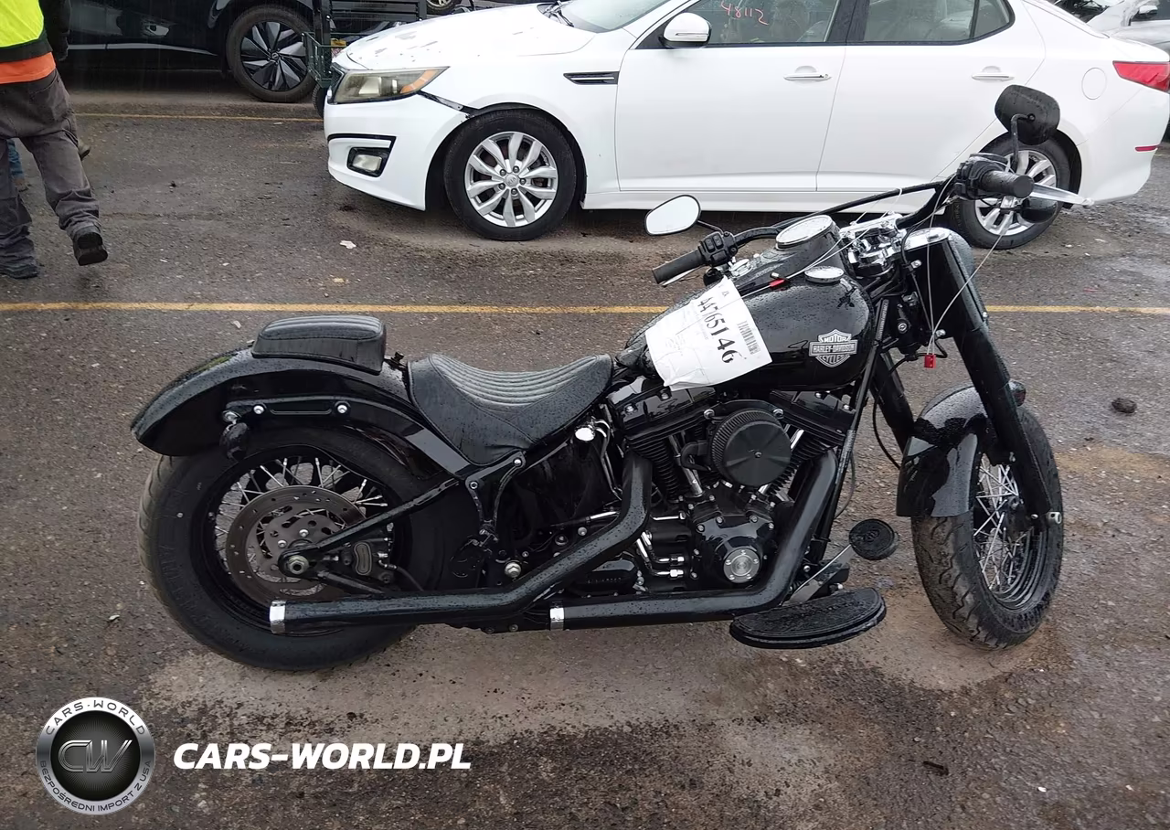 2017 Harley-Davidson Fls Softail Slim VIN:1HD1JRV19HB033228 - 12