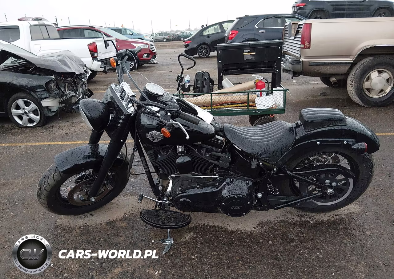 2017 Harley-Davidson Fls Softail Slim VIN:1HD1JRV19HB033228 - 13
