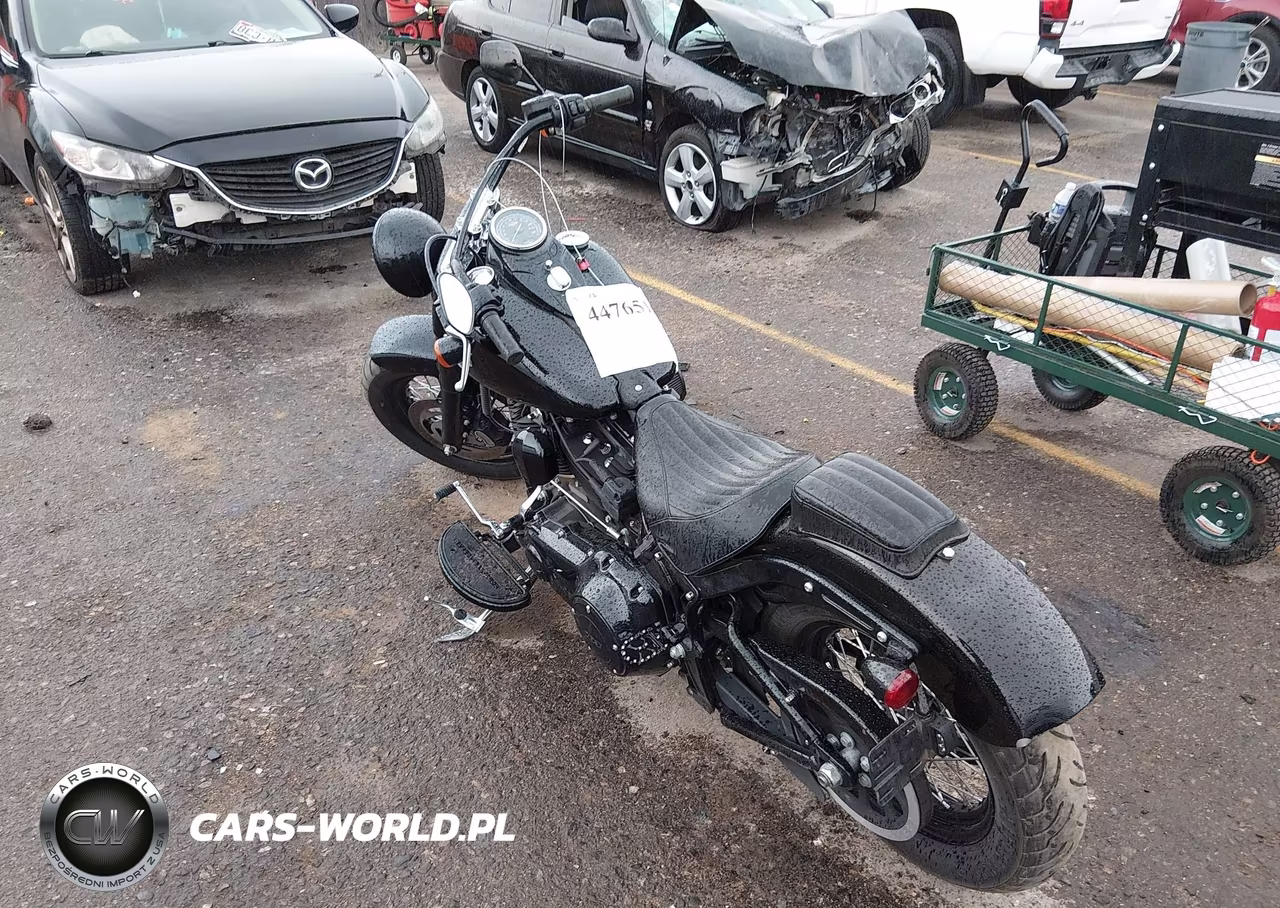 2017 Harley-Davidson Fls Softail Slim VIN:1HD1JRV19HB033228 - 3
