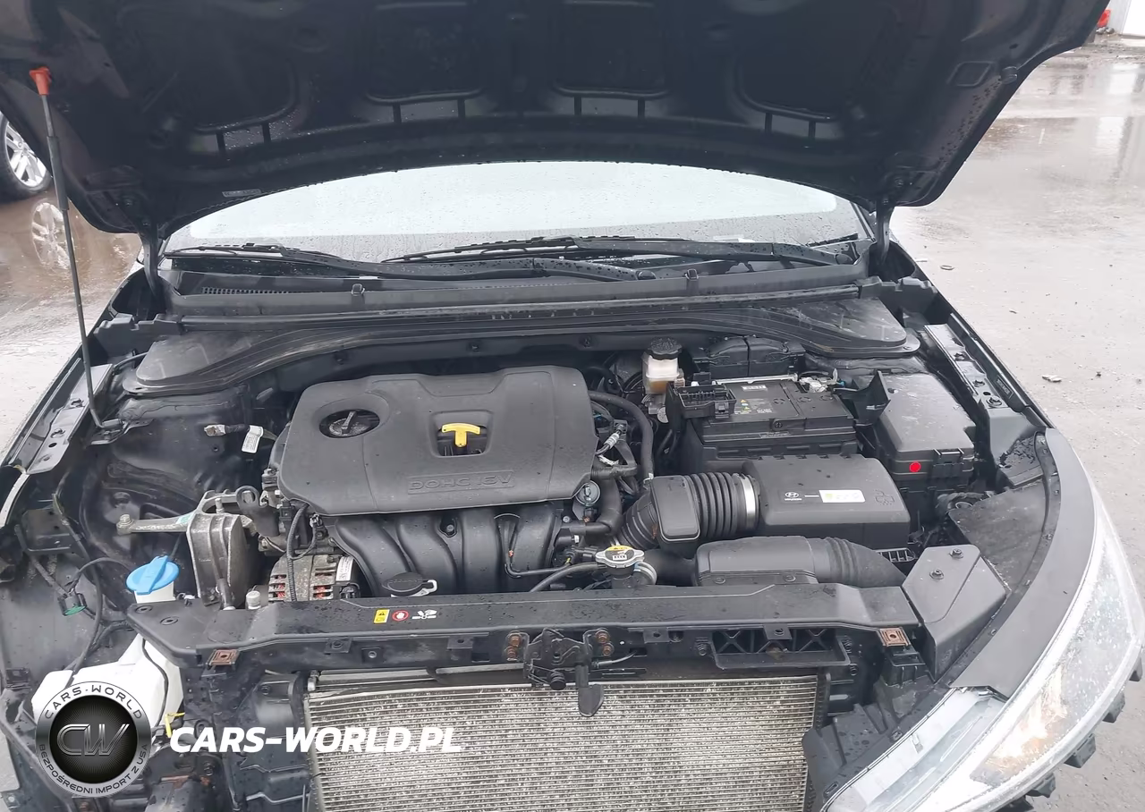 2019 Hyundai Elantra Se VIN:5NPD74LF7KH452392 - 10