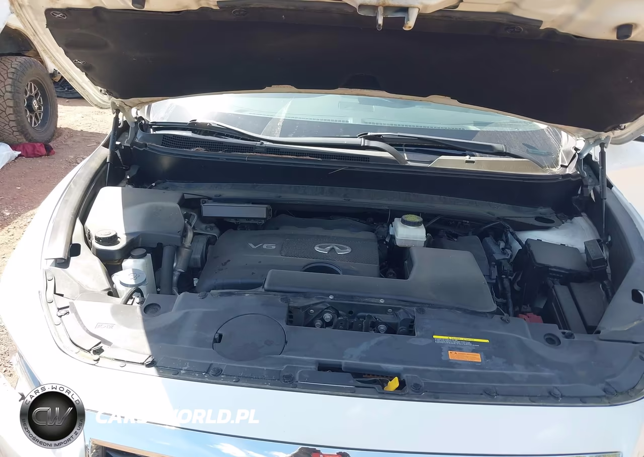 2020 Infiniti Qx60 Pure VIN:5N1DL0MN8LC506687 - 10