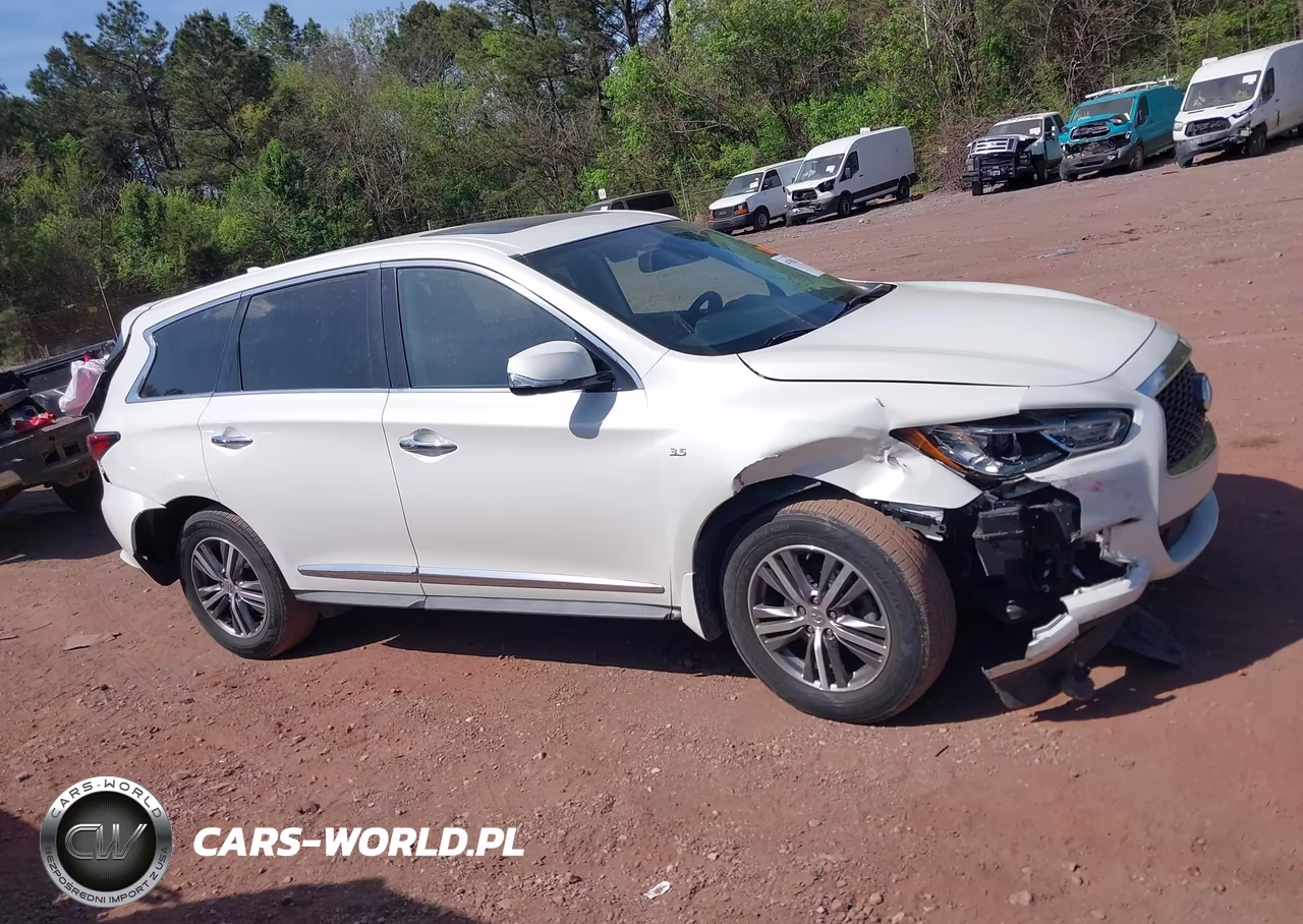 2020 Infiniti Qx60 Pure VIN:5N1DL0MN8LC506687 - 13