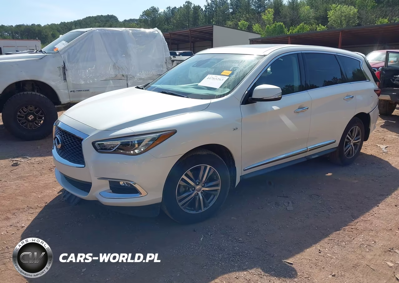 2020 Infiniti Qx60 Pure VIN:5N1DL0MN8LC506687 - 2