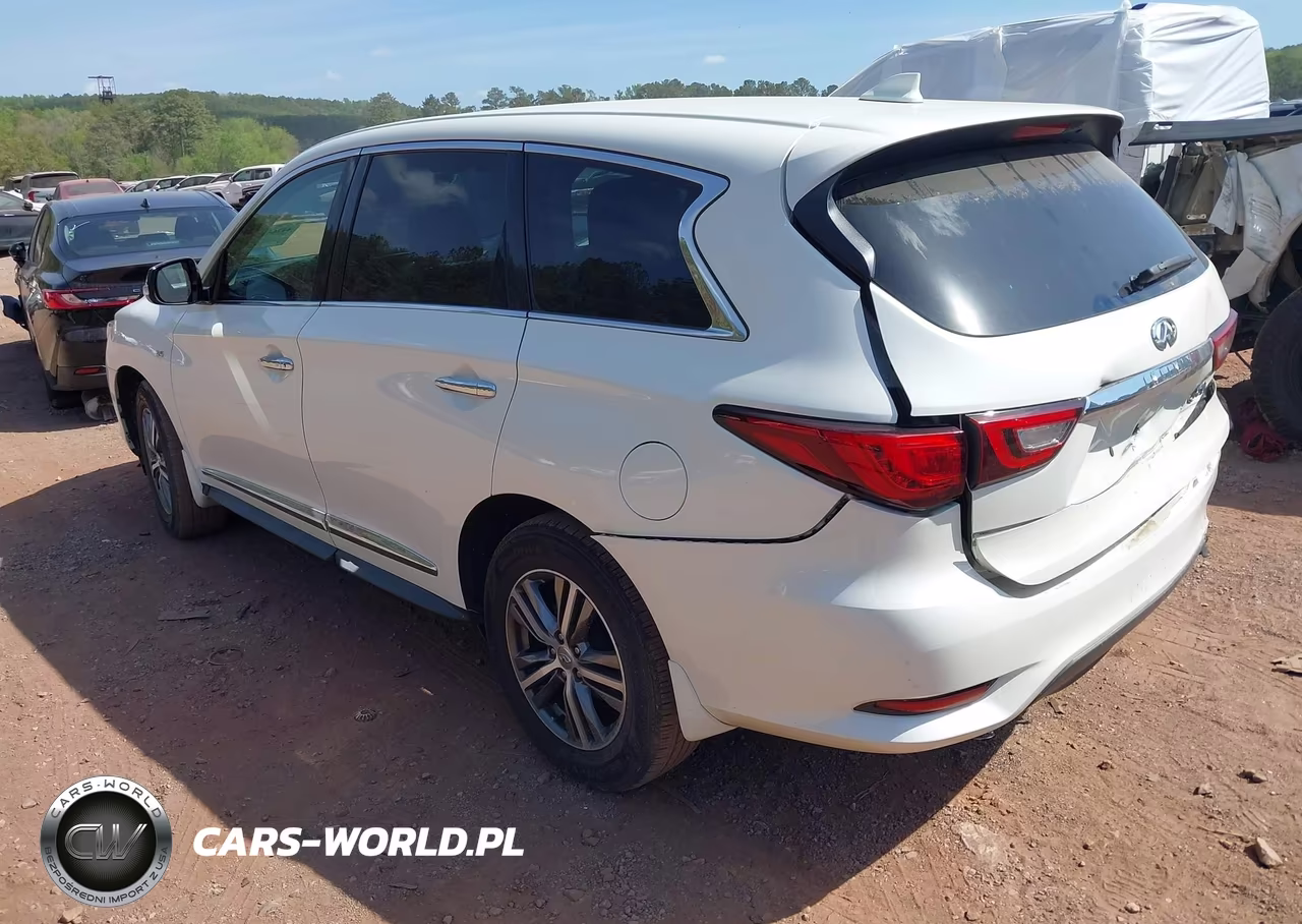 2020 Infiniti Qx60 Pure VIN:5N1DL0MN8LC506687 - 3