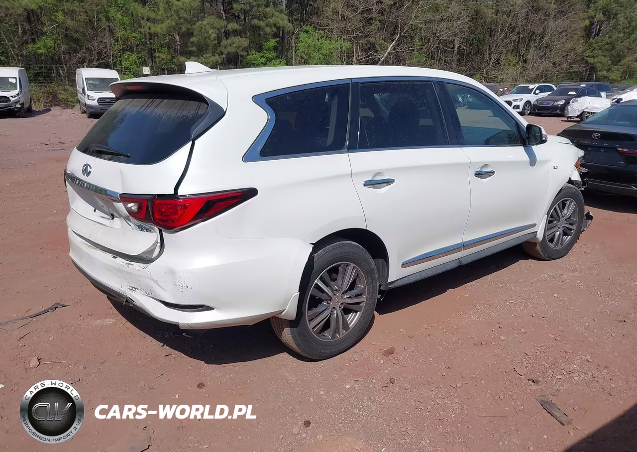 2020 Infiniti Qx60 Pure VIN:5N1DL0MN8LC506687 - 4
